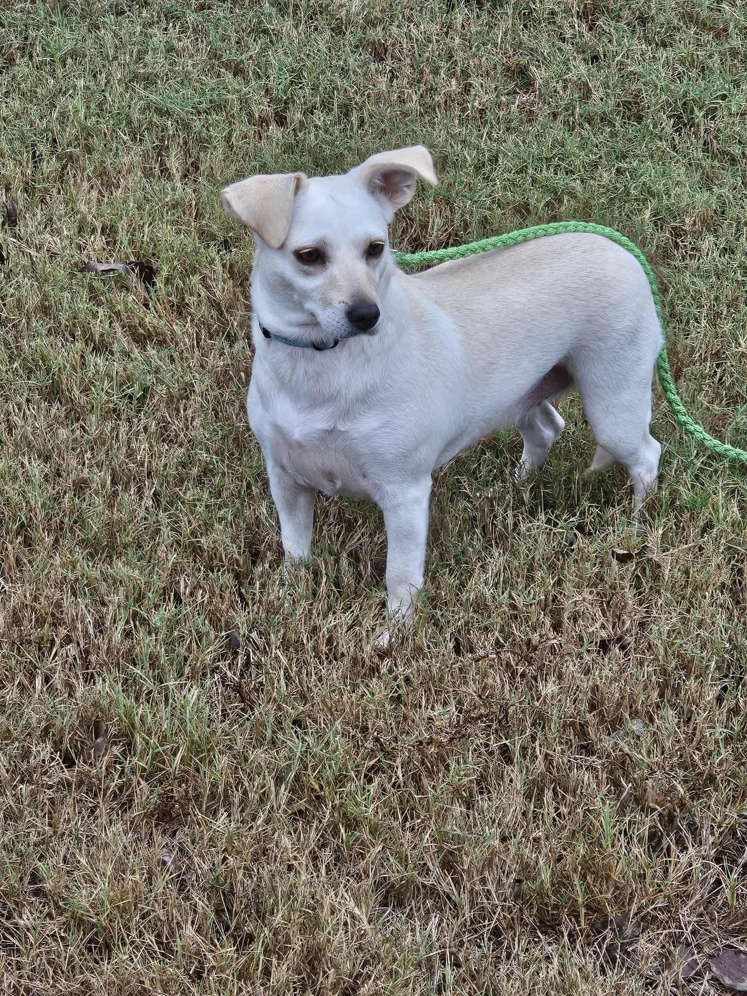 Little Faith (20251101-02) — thumbnail 5