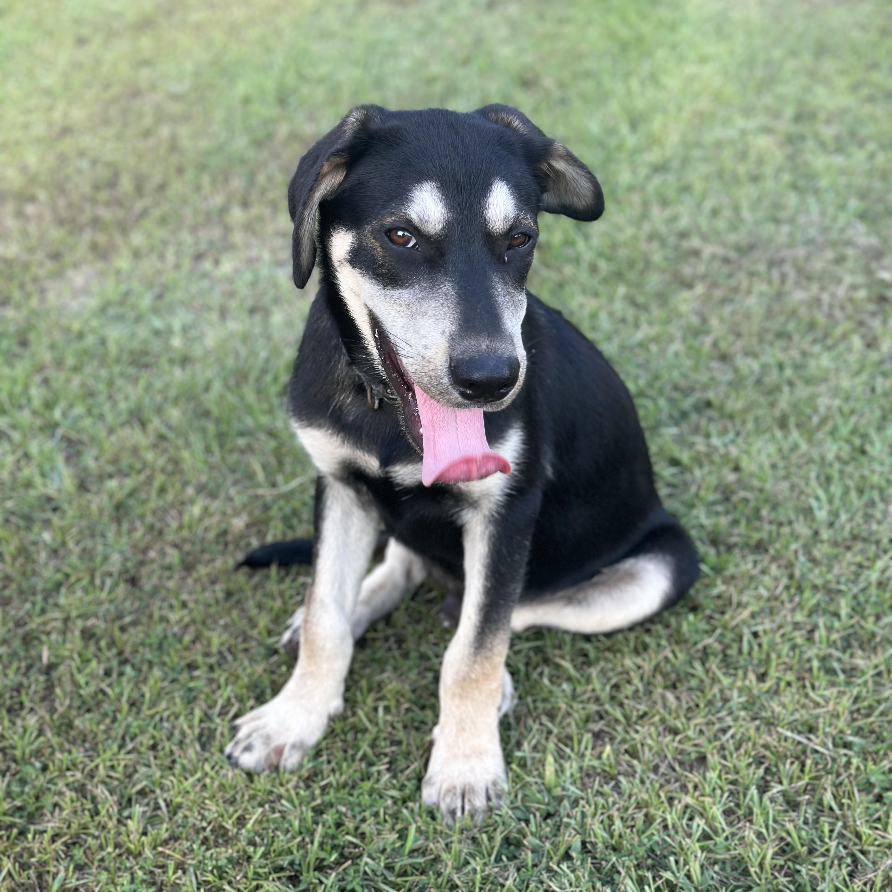 Duke