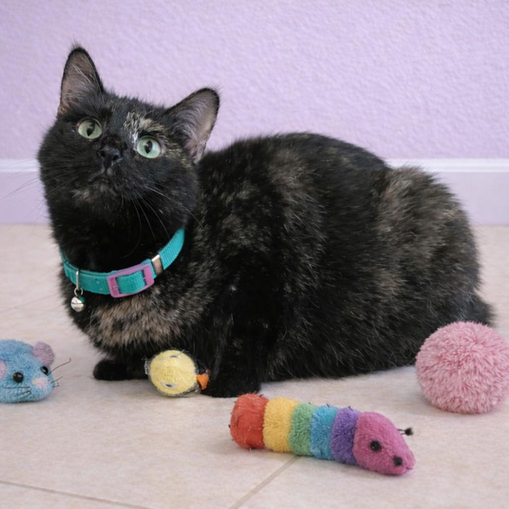 Enlarge Harlee — Your Future Play Partner With Paws, a Adoptable mixed breed in Hillsboro, TX image 3/6