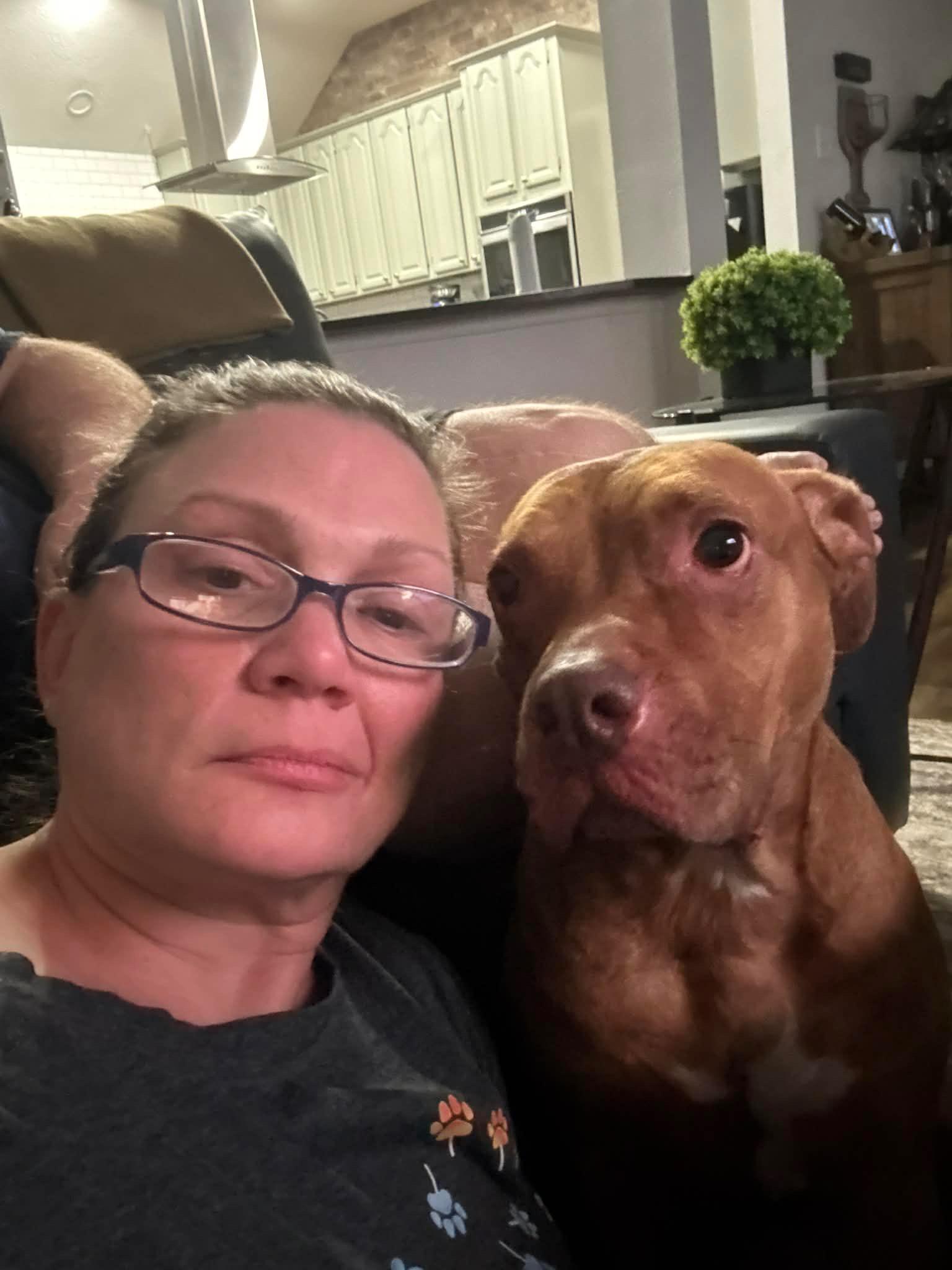 Enlarge Jersey, a ADOPTABLE mixed breed in Tomball, TX image 5/6