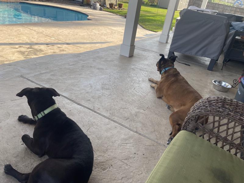 Marty brings the cuddle party — thumbnail 3