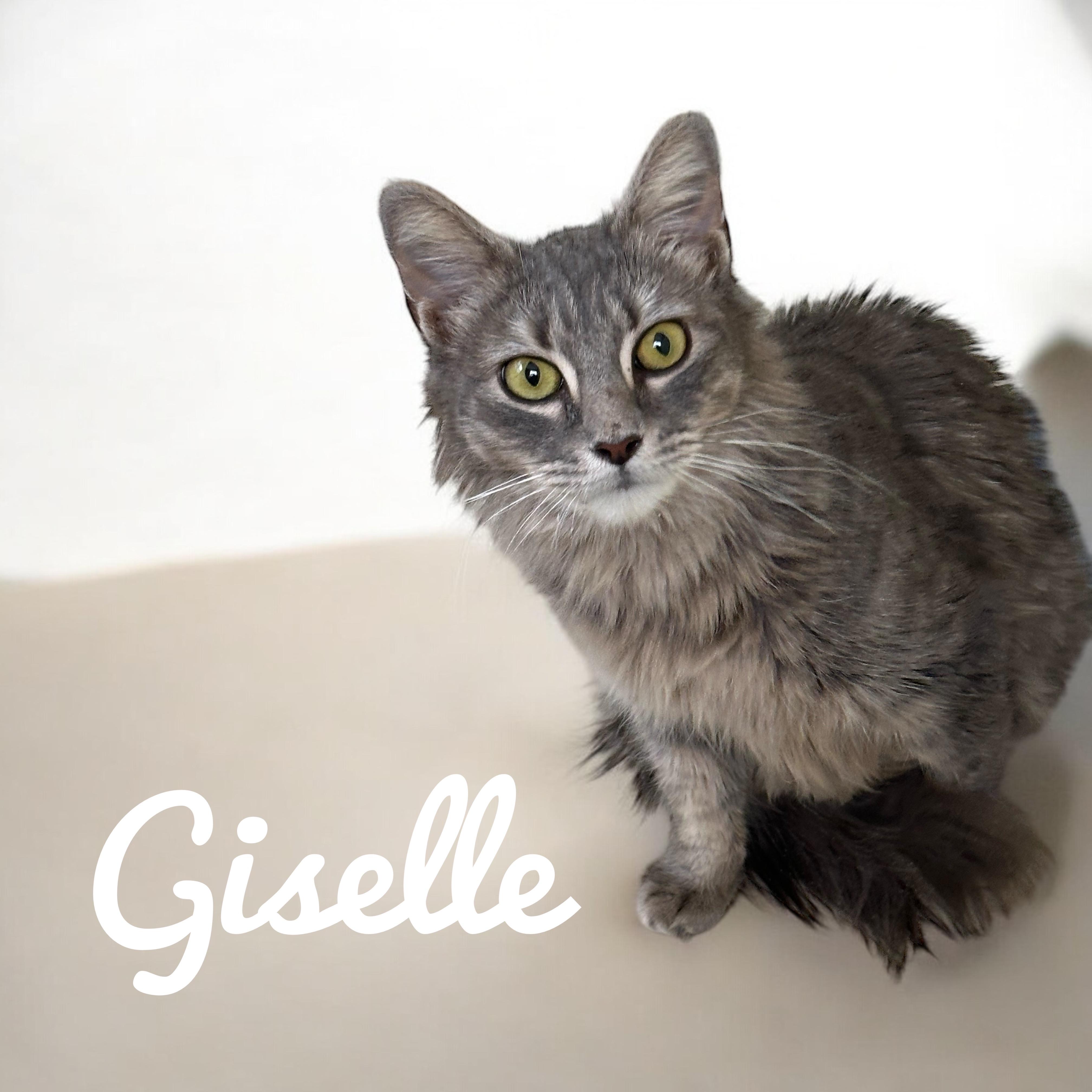 Giselle