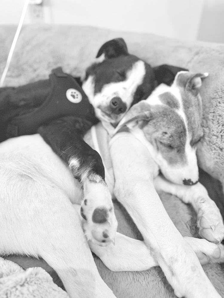 Holbrook — thumbnail 3