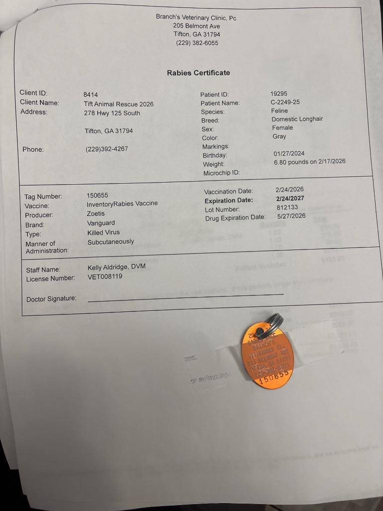 Enlarge C2249-25 Lavender, a Adoptable mixed breed in Tifton, GA image 3/4