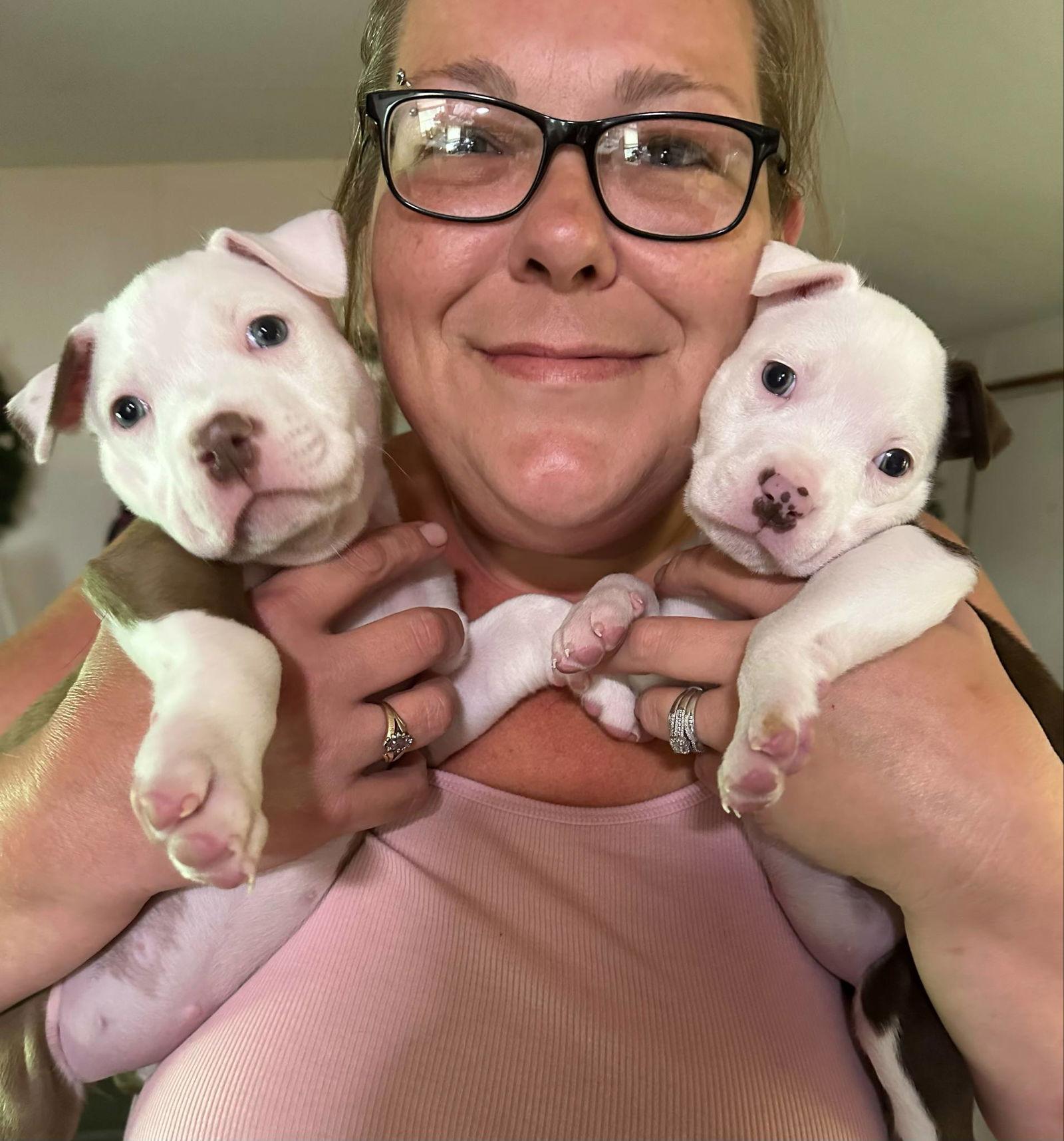 Opal, a Adoptable Pit Bull Terrier in Berlin, MD image 3/3