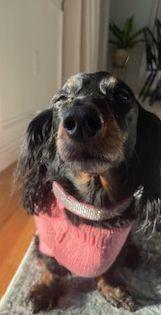 Babs Kay thumbnail 2