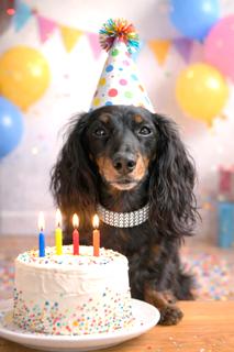 Babs Kay thumbnail 3