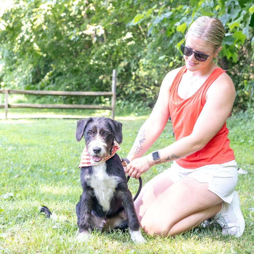 Lee (Male), an adopted mixed breed in West Grove, PA image 3/6