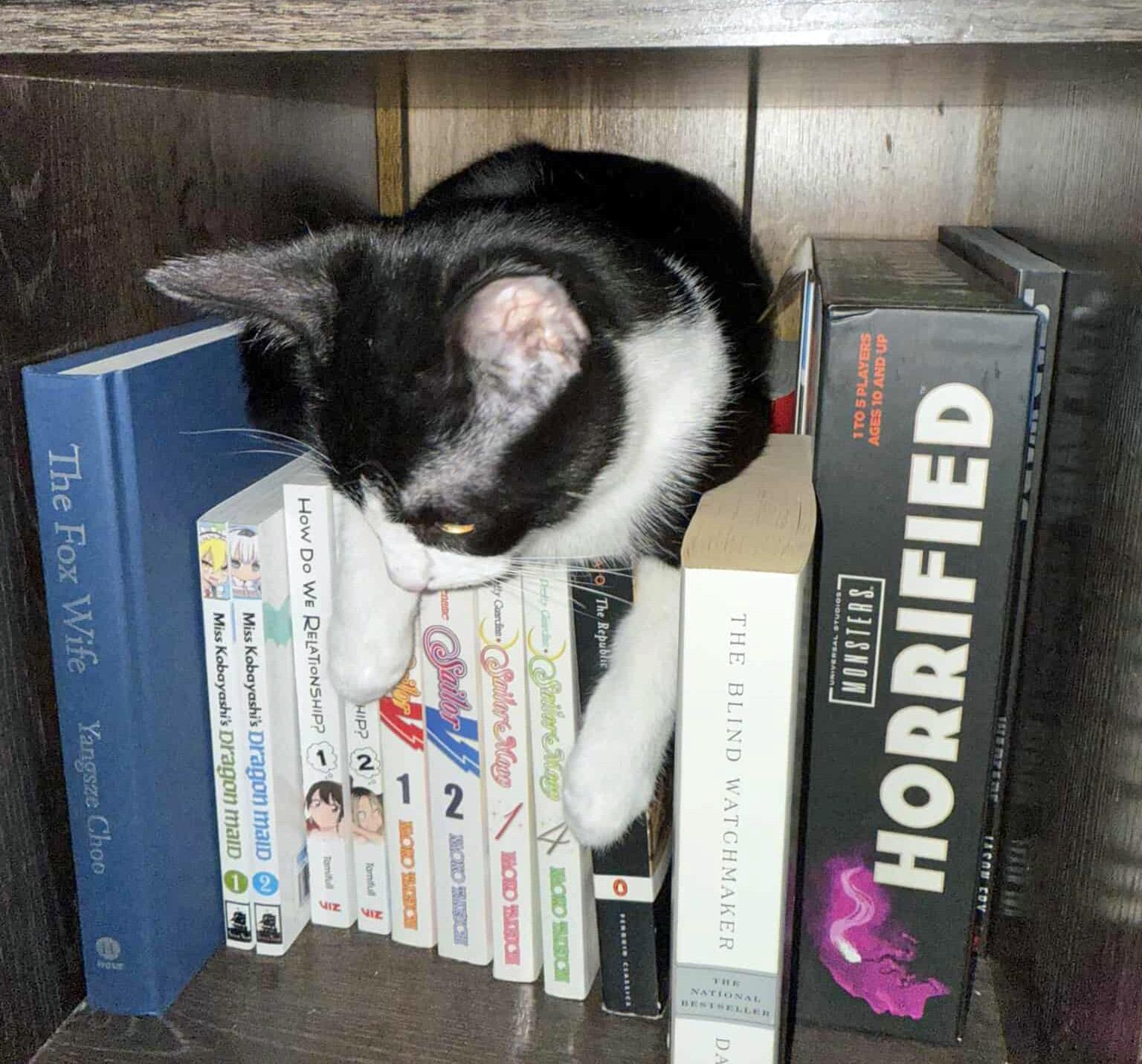 Purkinje Fynn  (Community Assist)