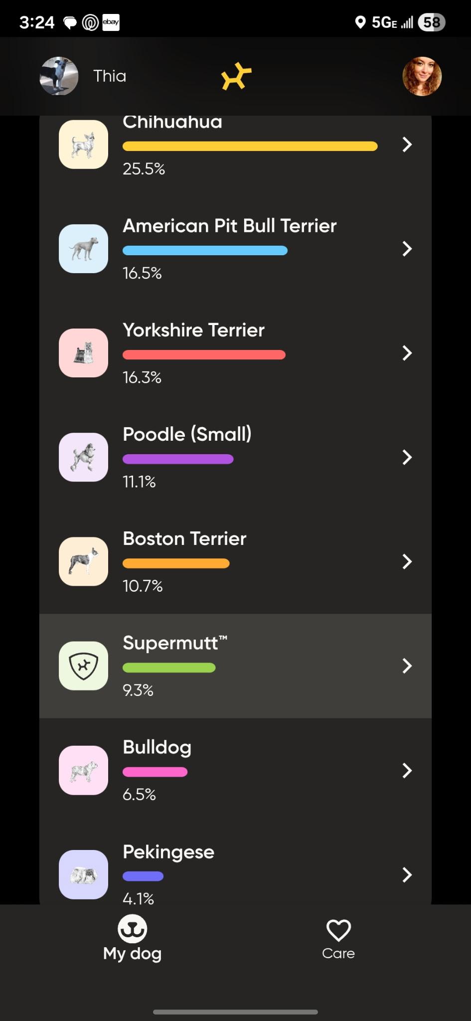 Enlarge Rocky, a Adoptable mixed breed in Salem, OR image 3/4