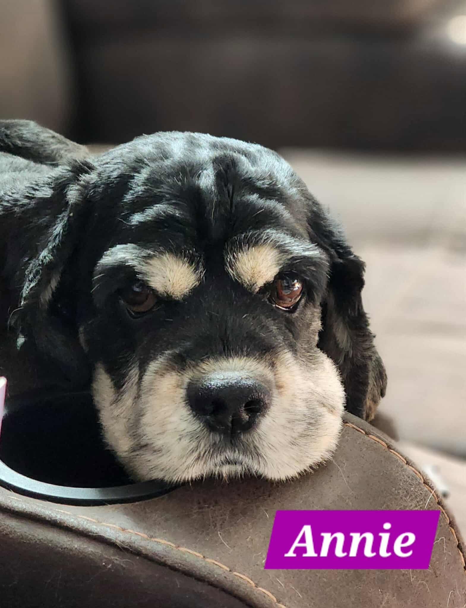 Annie