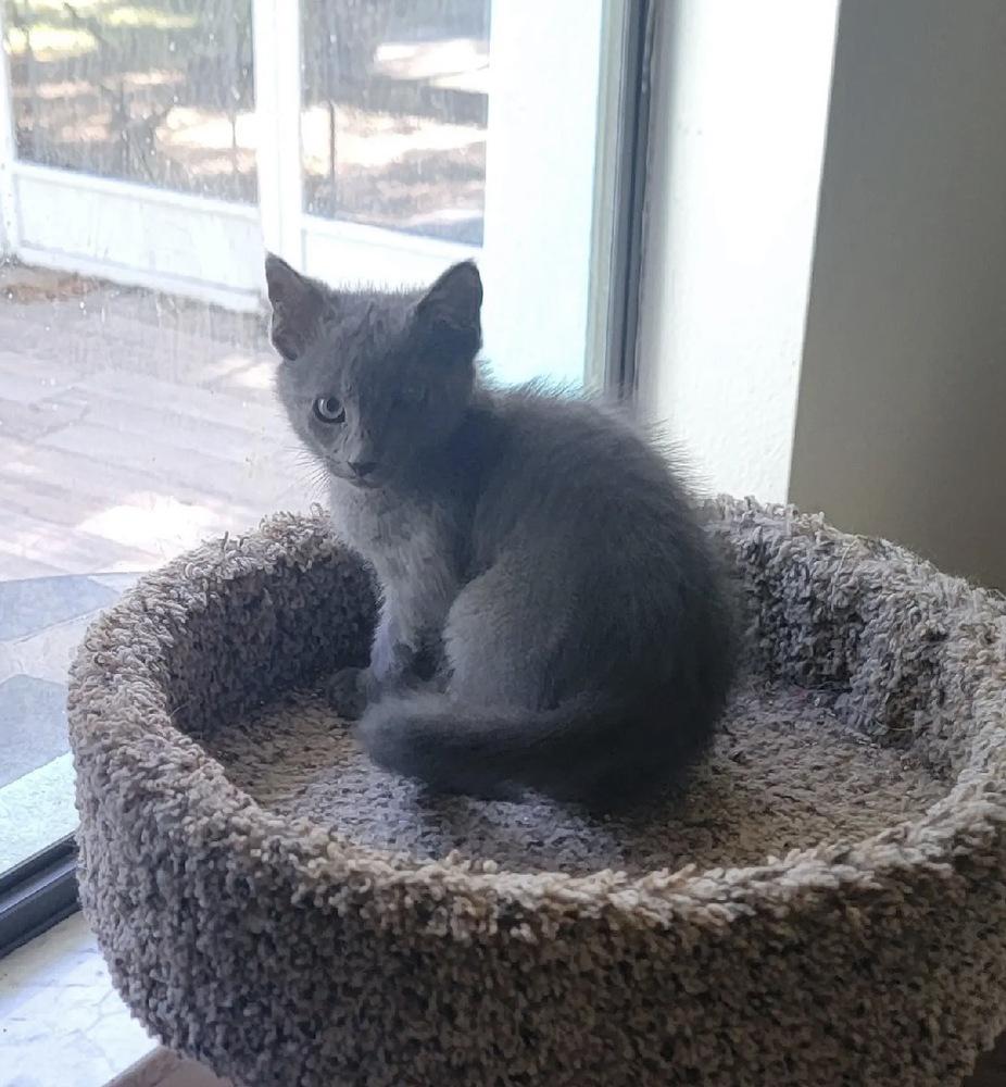 Wee Willy thumbnail 2