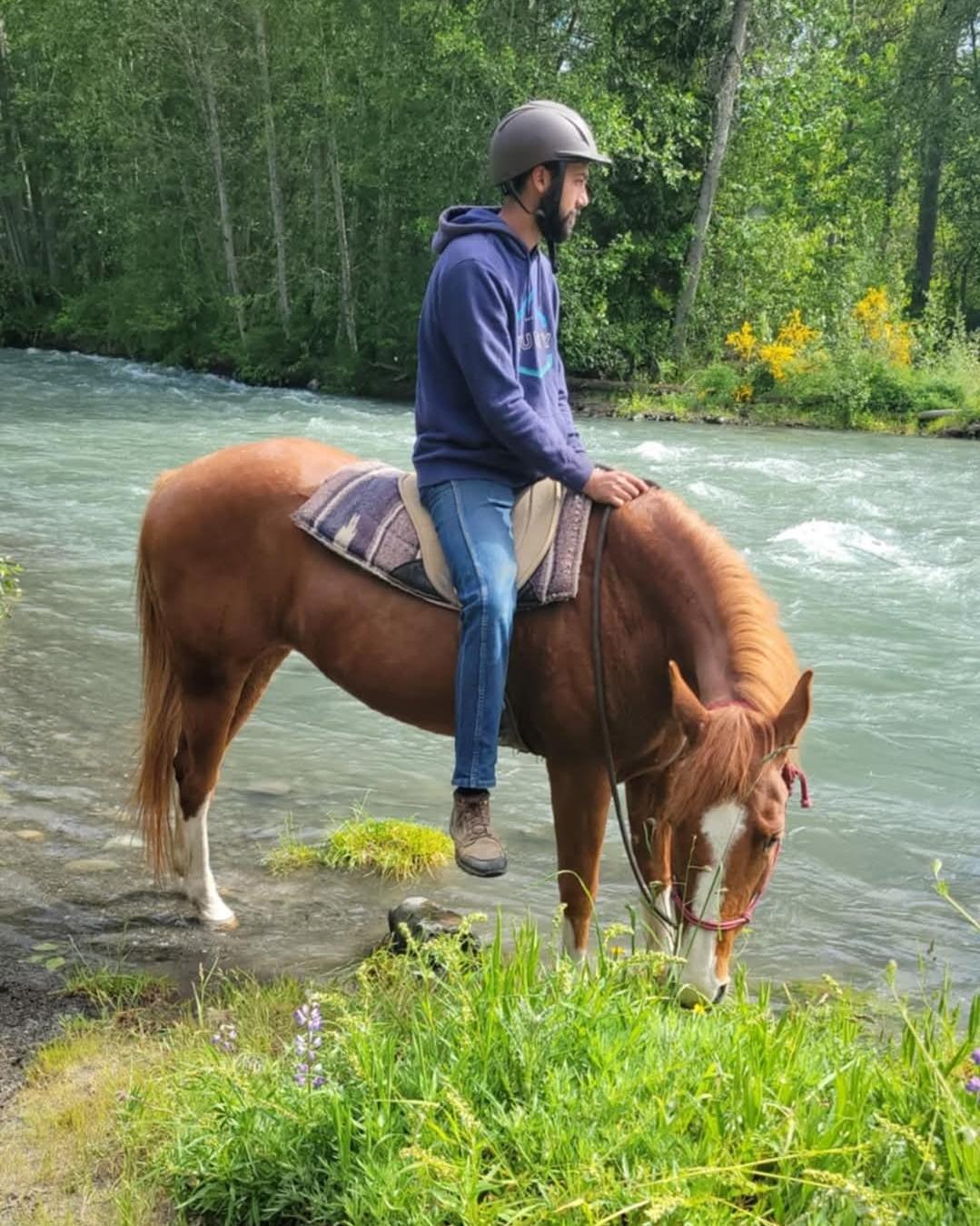 Enlarge Angel, a Adopted Quarterhorse in Sequim, WA image 4/4