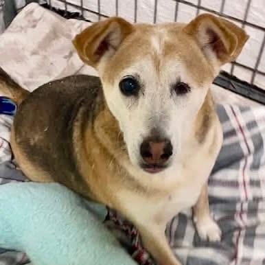 Nala bonded with Morgan