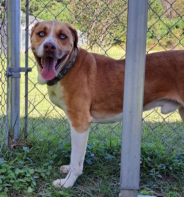 Maverick thumbnail 2