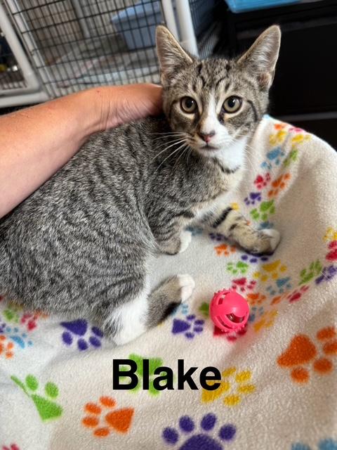 BLAKE