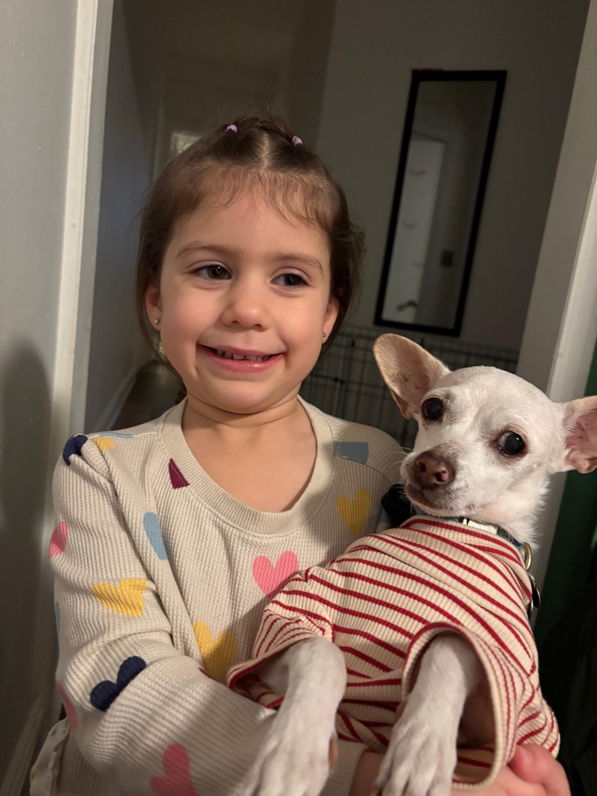 Enlarge ISMA, a Adoptable mixed breed in New York, NY image 6/6