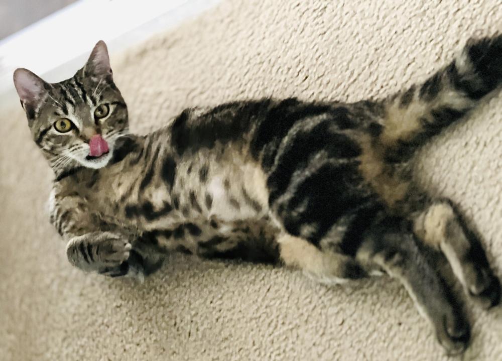 Merida — thumbnail 3