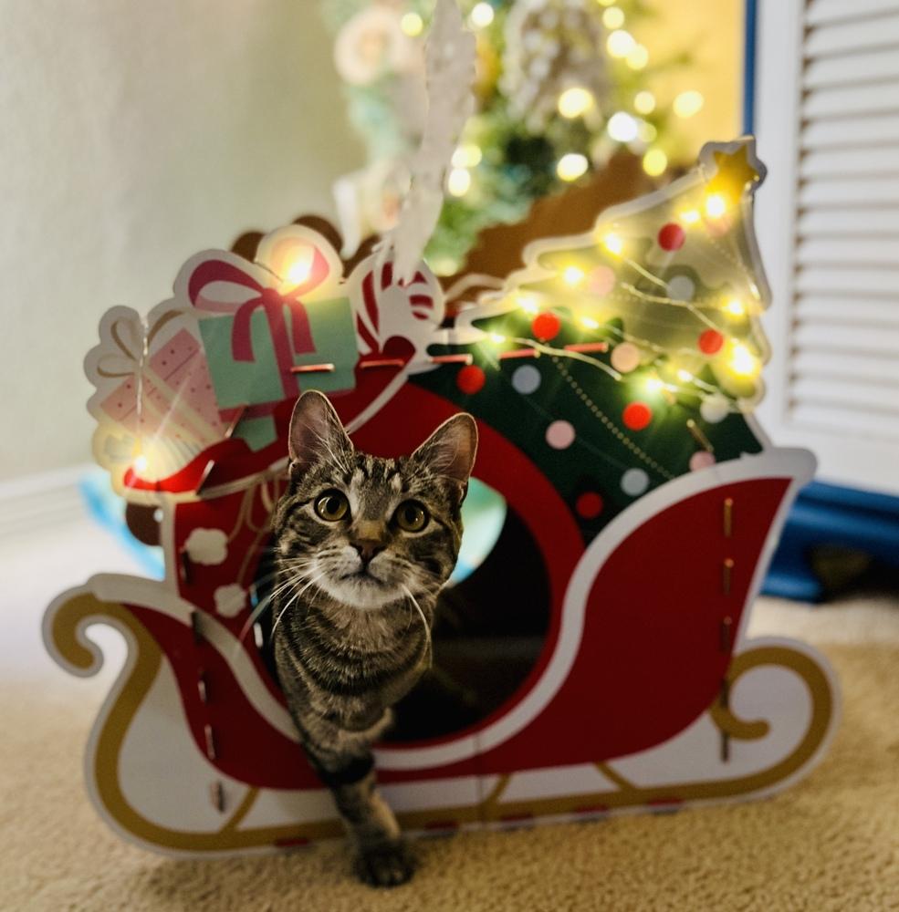 Merida — thumbnail 5