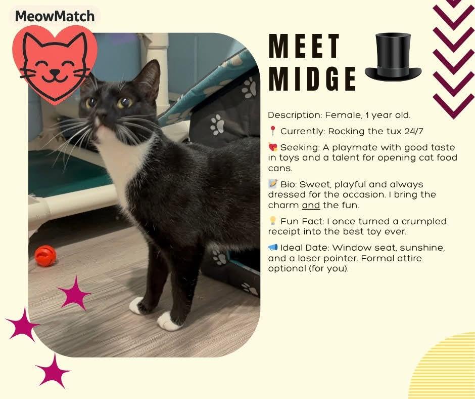Midge