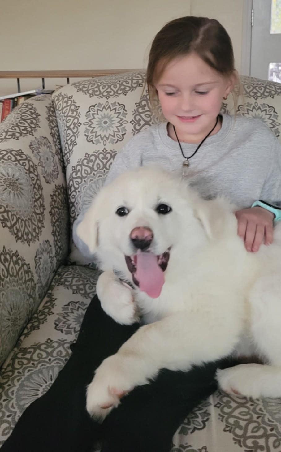 Enlarge Miriam SAT, a Adopted Great Pyrenees in Quinlan, TX image 4/6