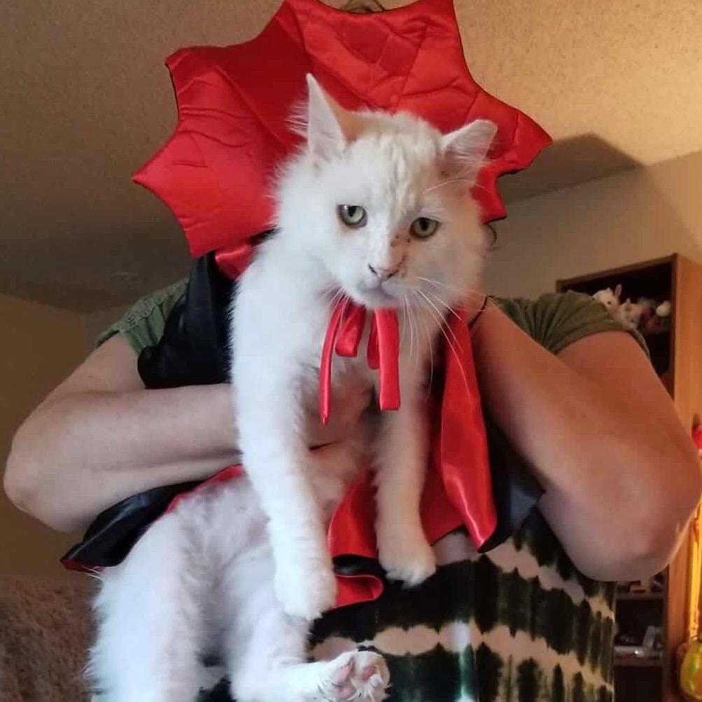 Scott — thumbnail 4