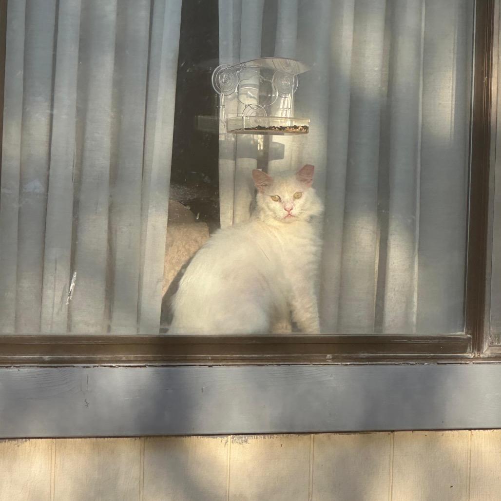 Scott — thumbnail 5