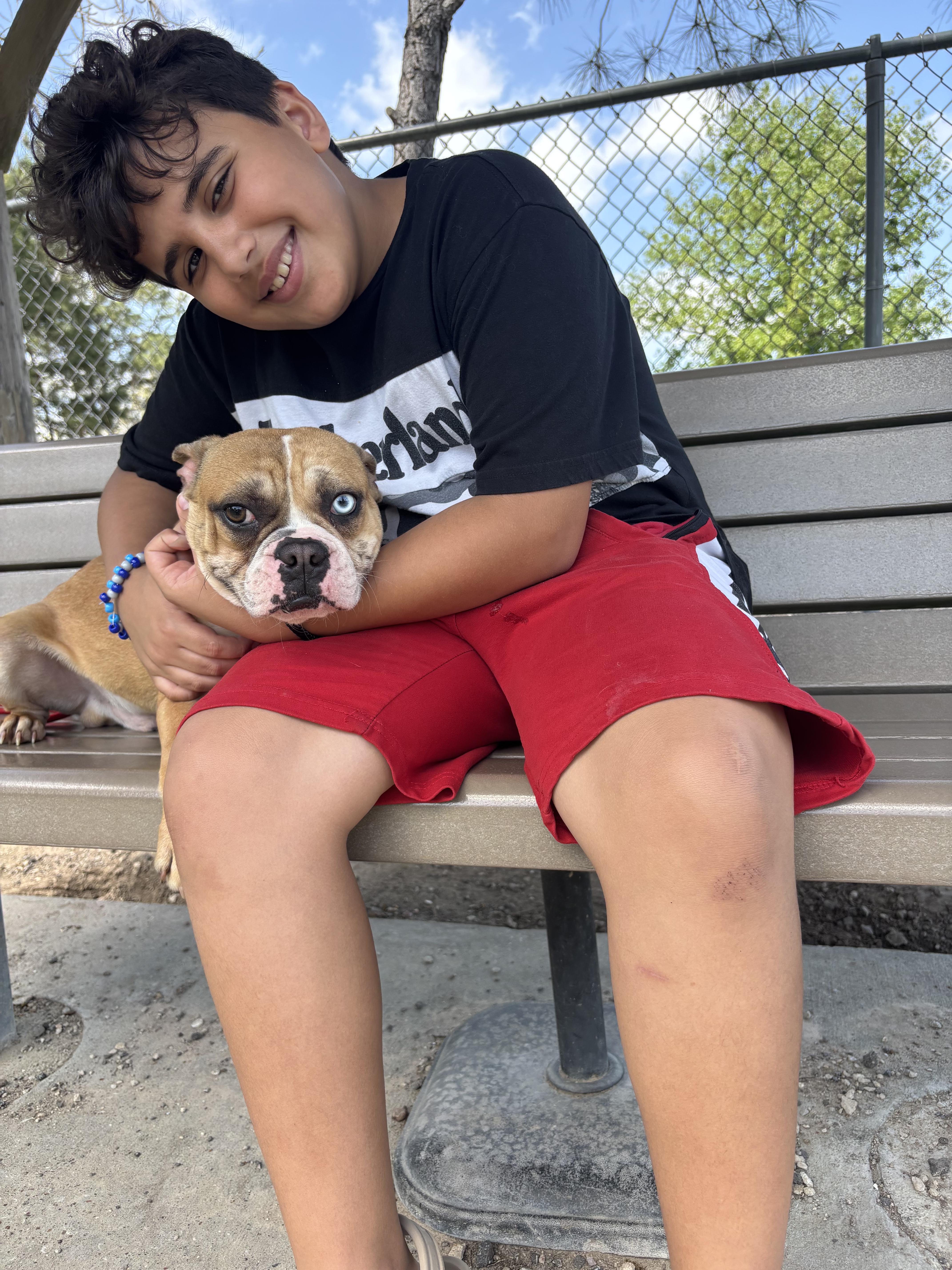 Pipo ( 30lbs ,quiet, friendly, house trained, crate trained, super cute ), an adopted mixed breed in Rossford, OH image 4/6