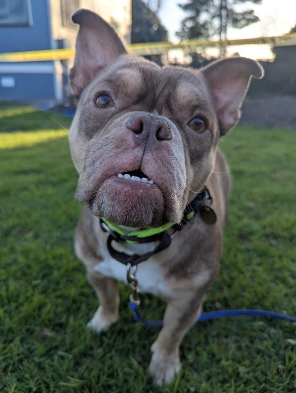 Lady — thumbnail 2