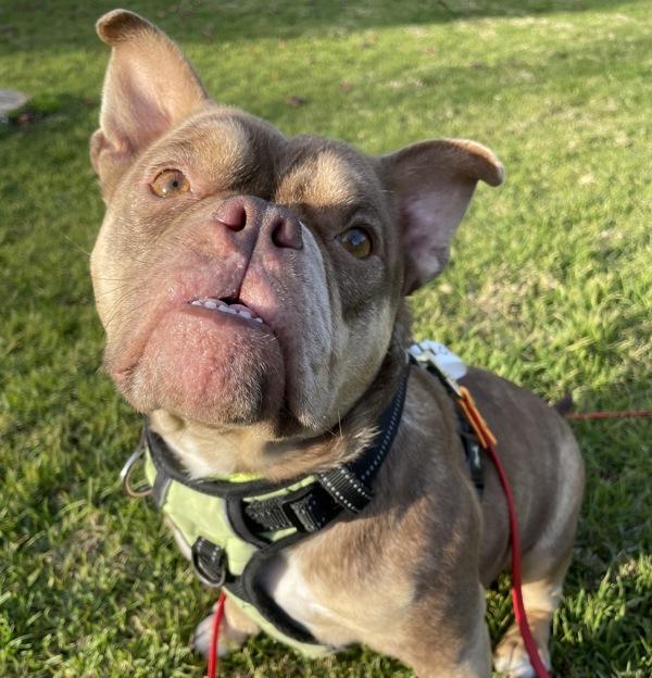 Lady — thumbnail 3