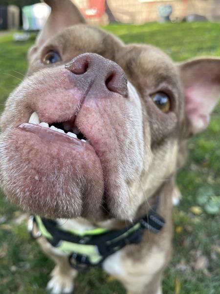 Lady — thumbnail 4