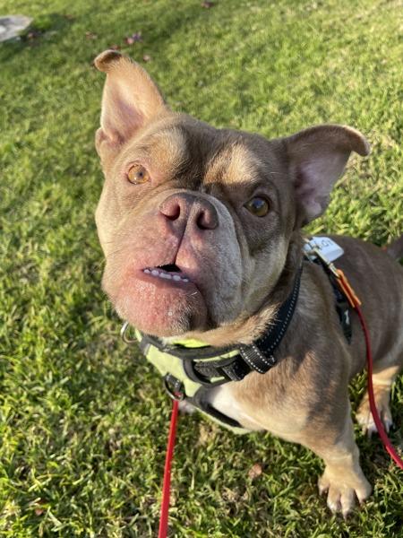 Lady — thumbnail 6