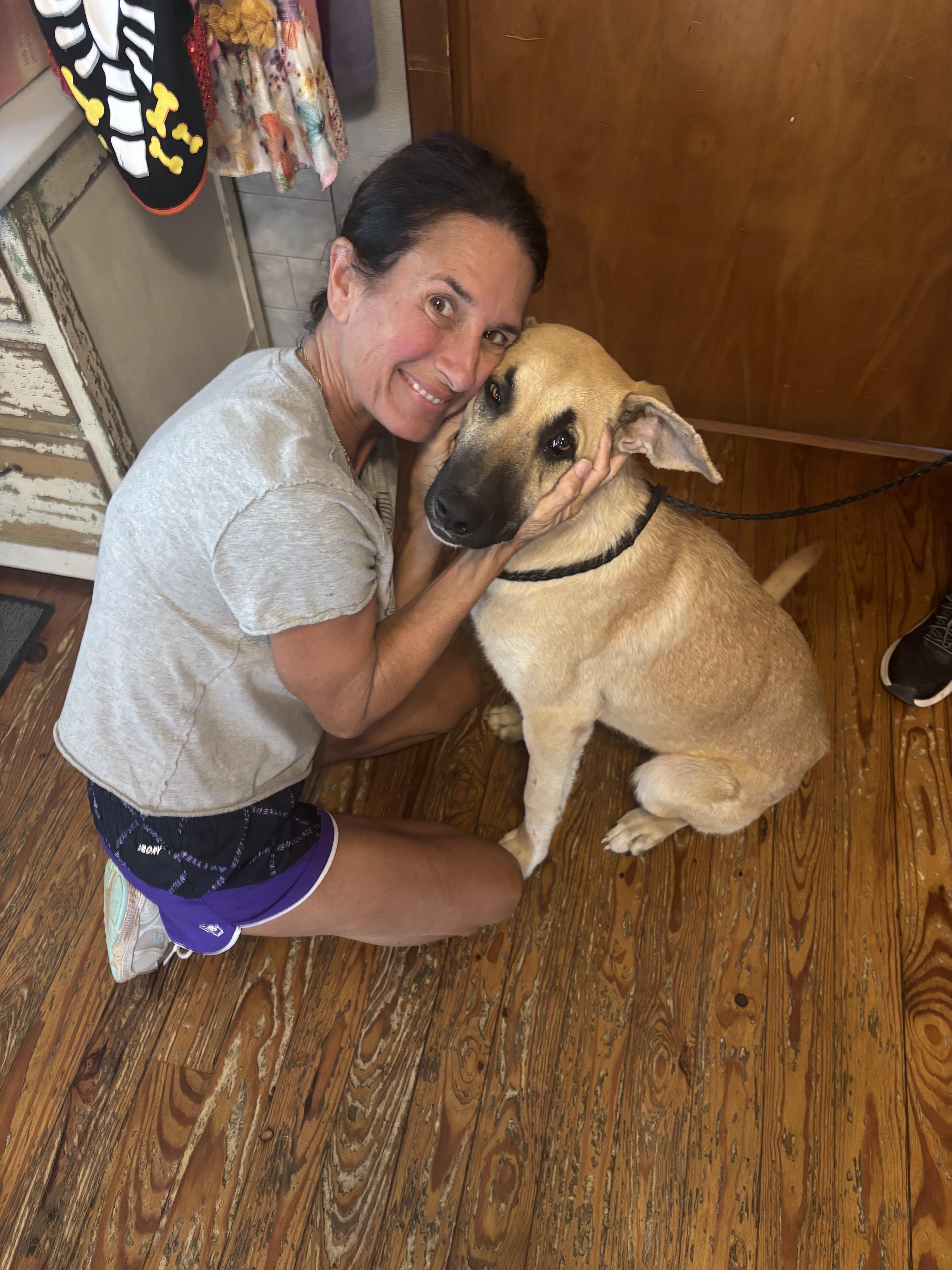 Enlarge Nicki, a Adoptable Anatolian Shepherd in Welling, OK image 3/3