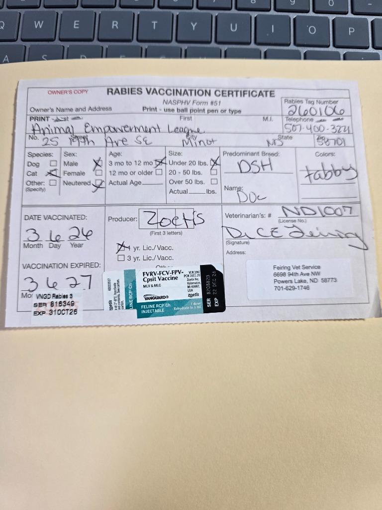 Enlarge Doc, a Adopted mixed breed in Minot, ND image 2/2