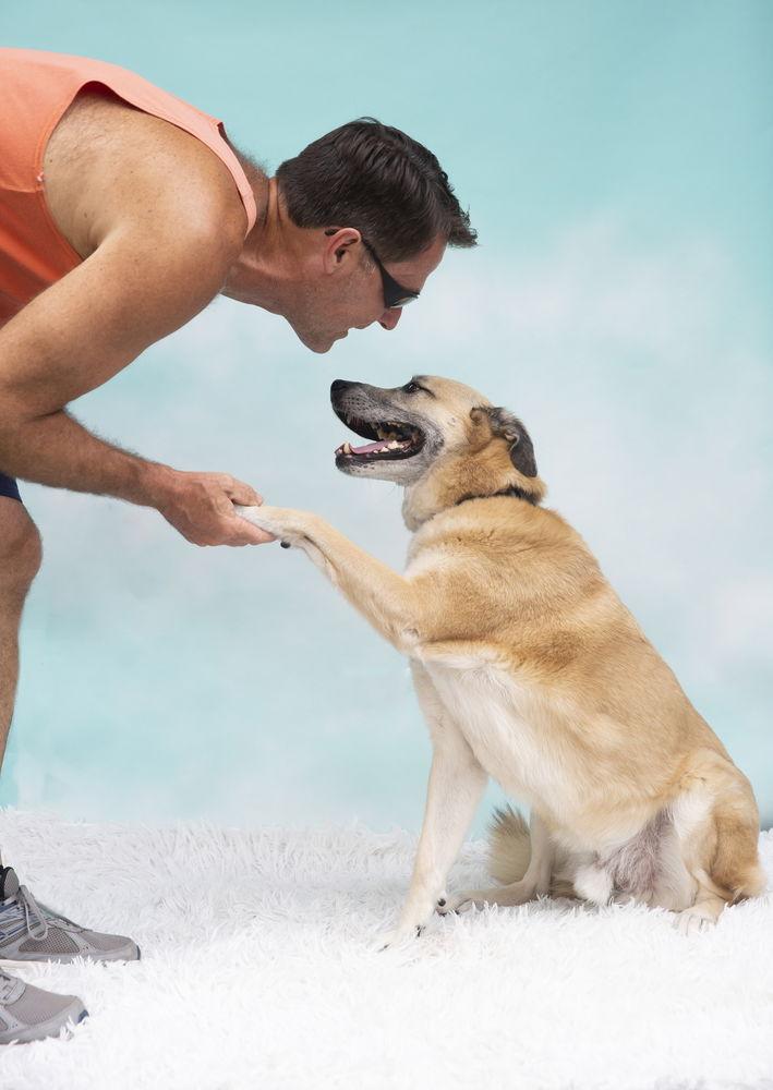 Sarge -Tennis Pro — thumbnail 2