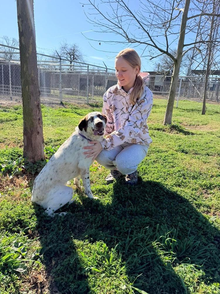 Enlarge Dolly of Wortham, a Adopted mixed breed in Denver, CO image 3/6