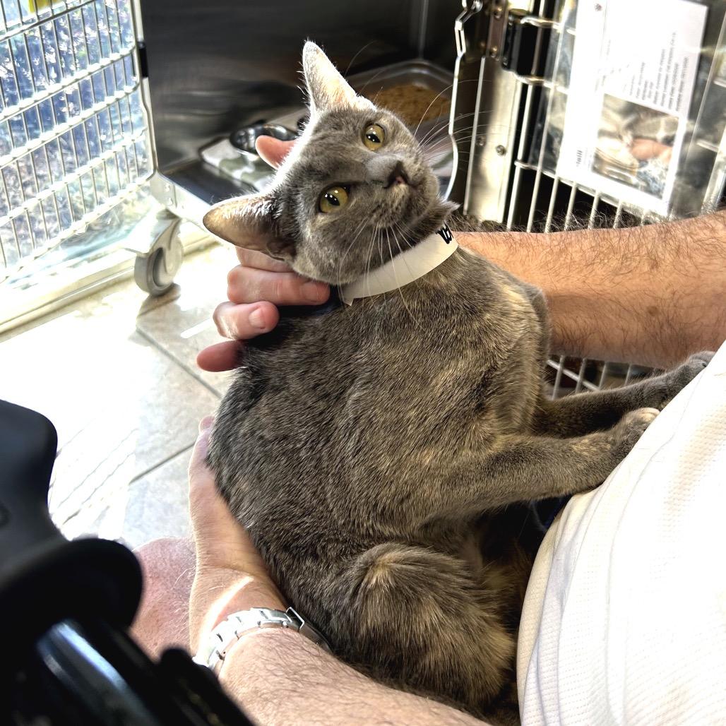 Mneera — thumbnail 3