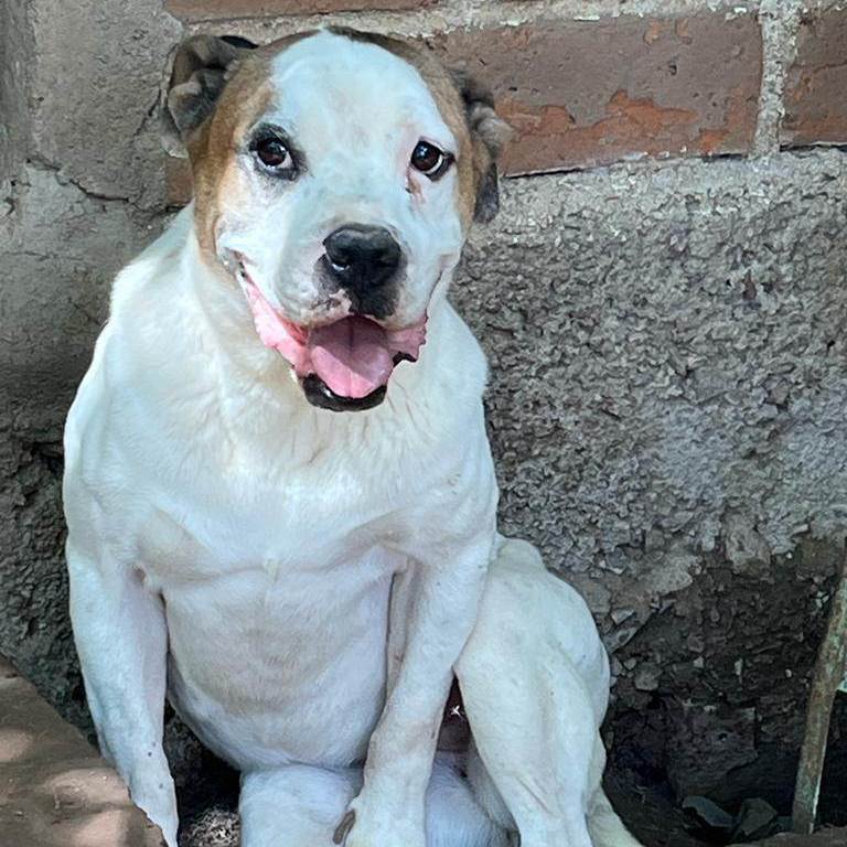Fiona