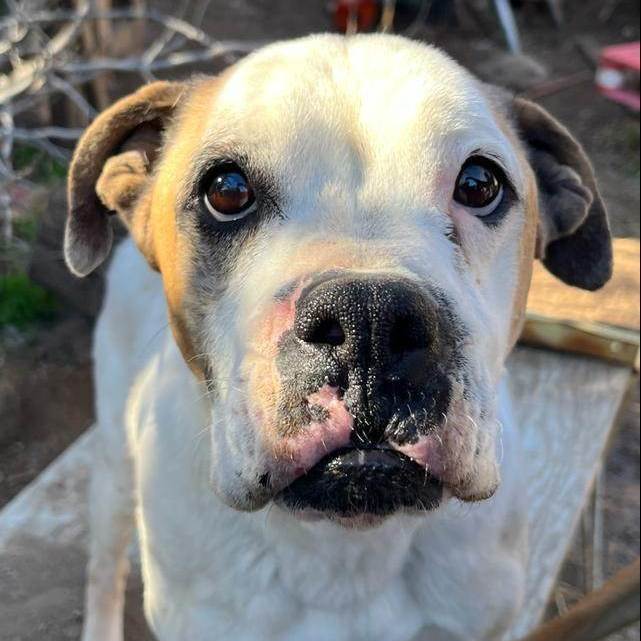 Fiona photo 4