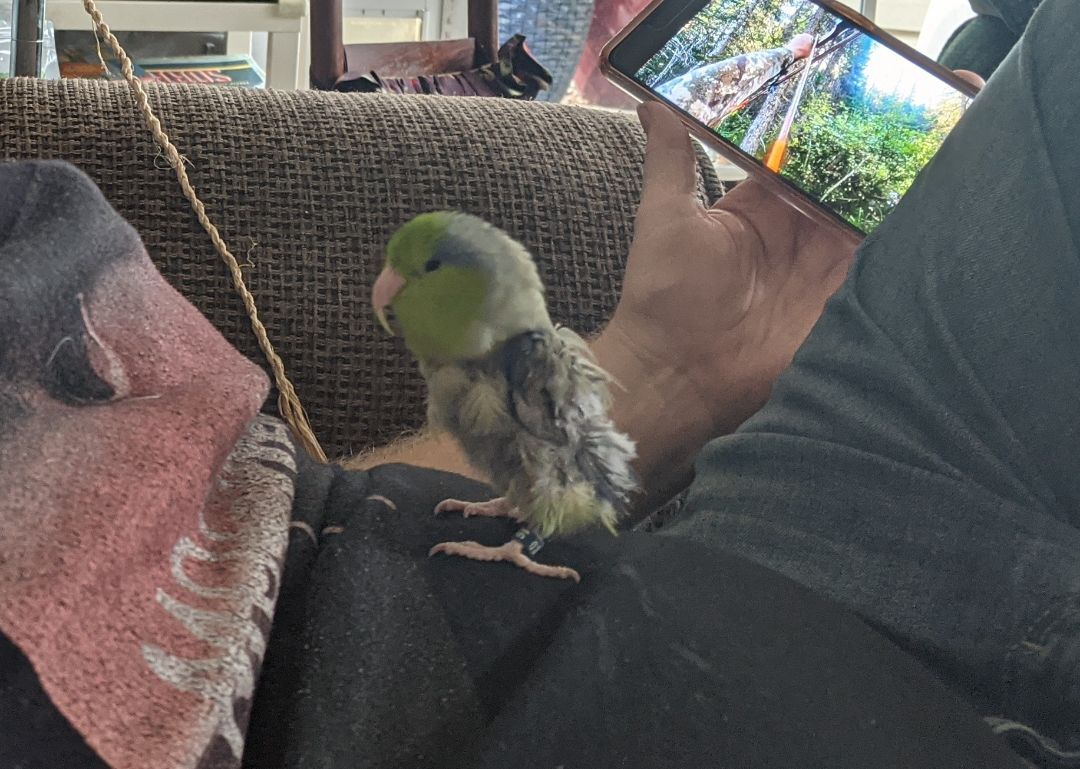 Flynn aka Beeper