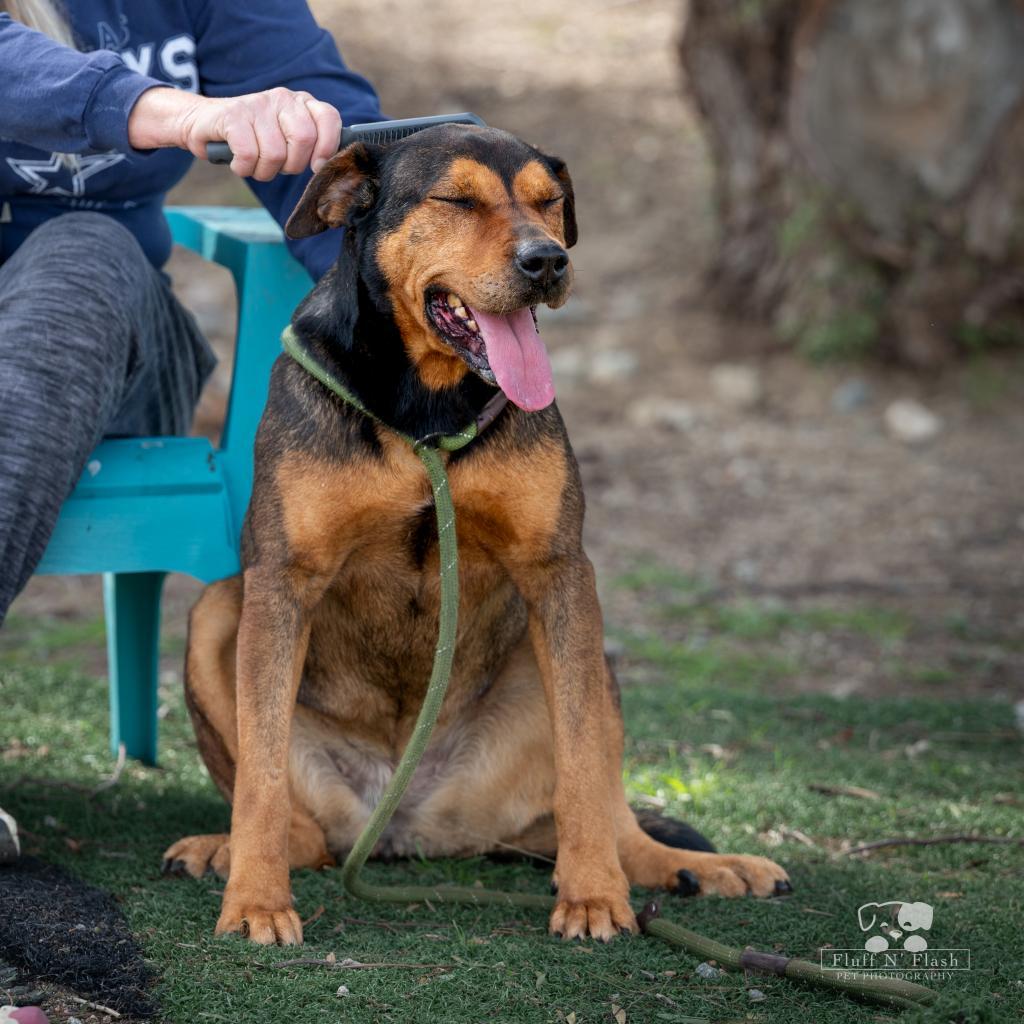 Lollipop — thumbnail 6