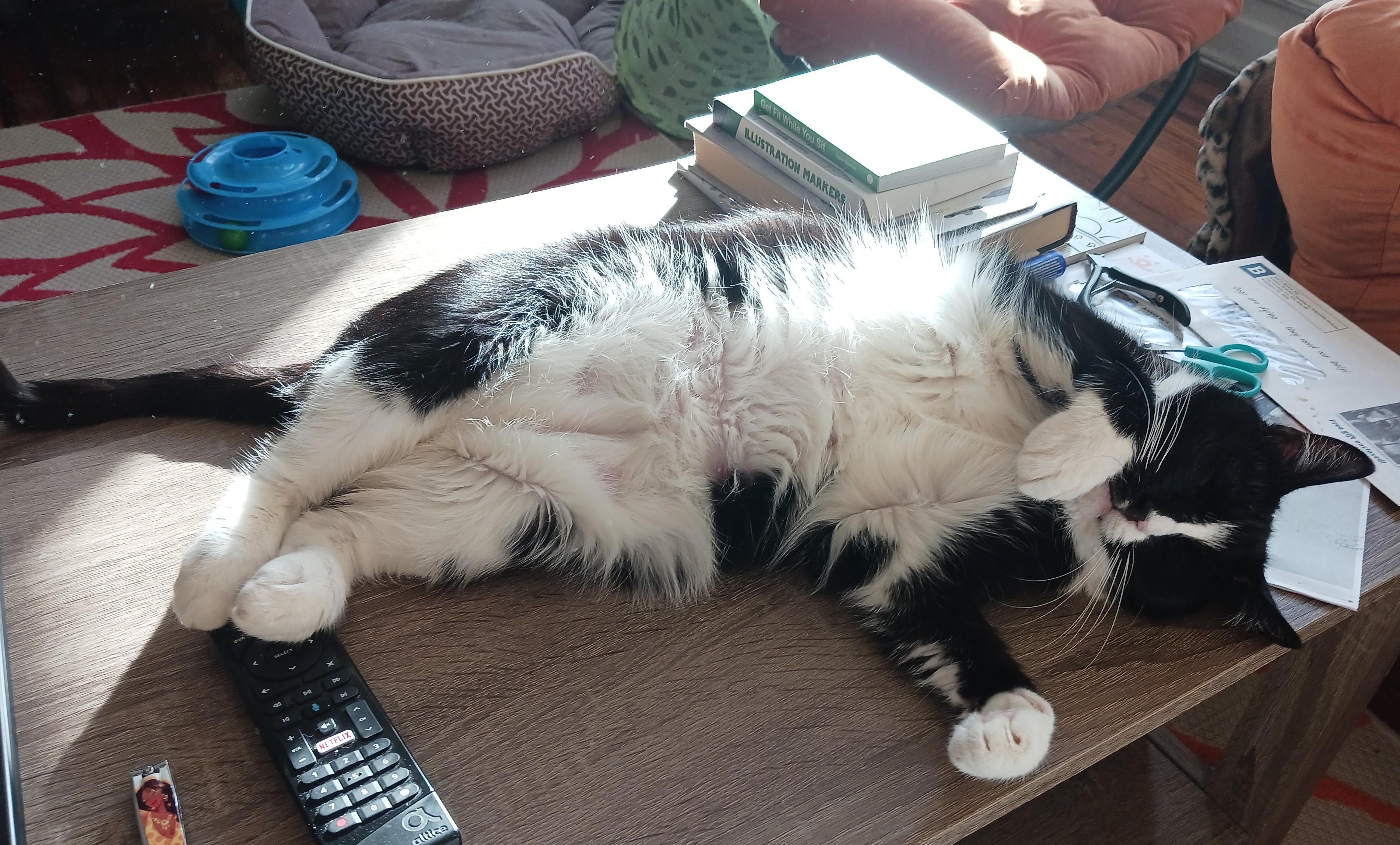 Marietta B.  Sassy thumbnail 4