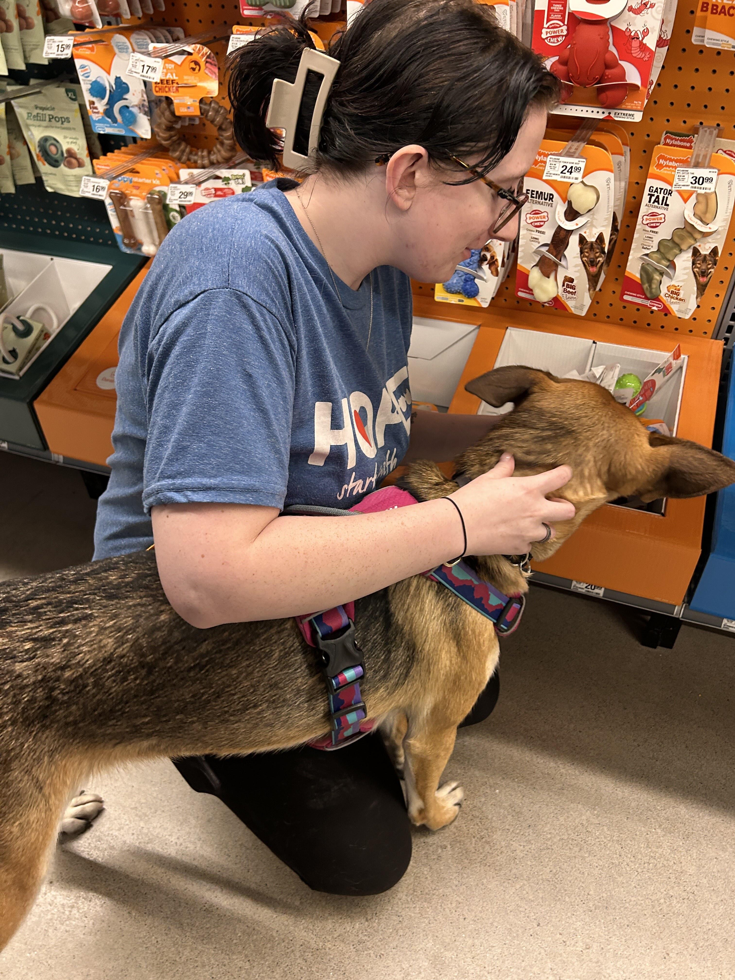 Enlarge Sury, a Adoptable mixed breed in Erin, ON image 6/6
