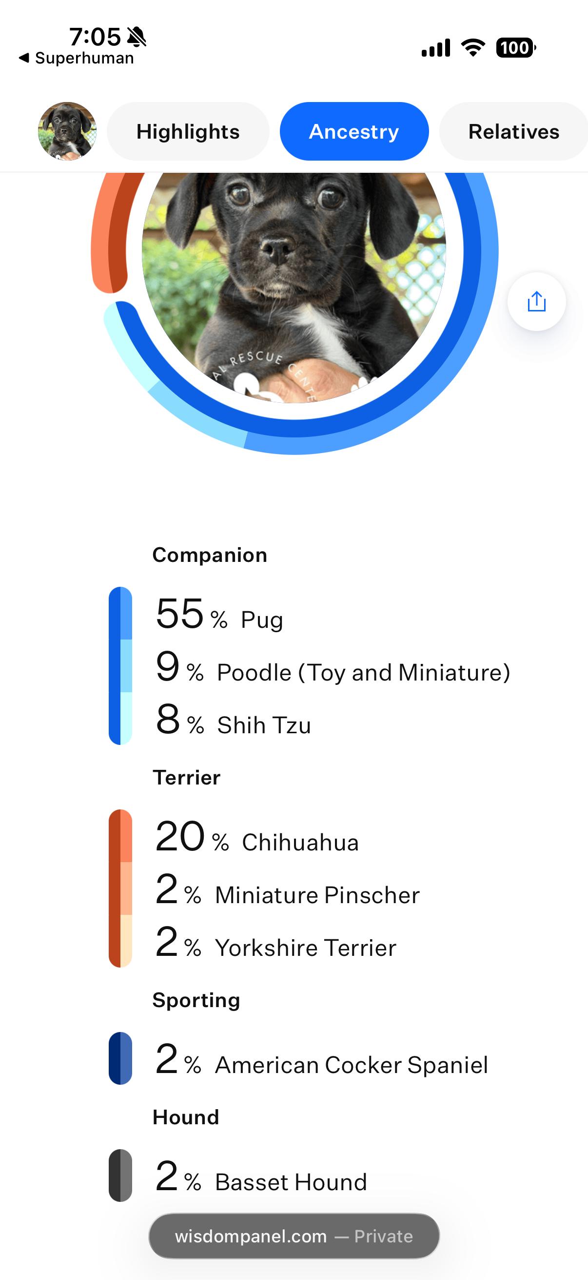 Enlarge Ting, a Adoptable mixed breed in Coachella, CA image 4/4