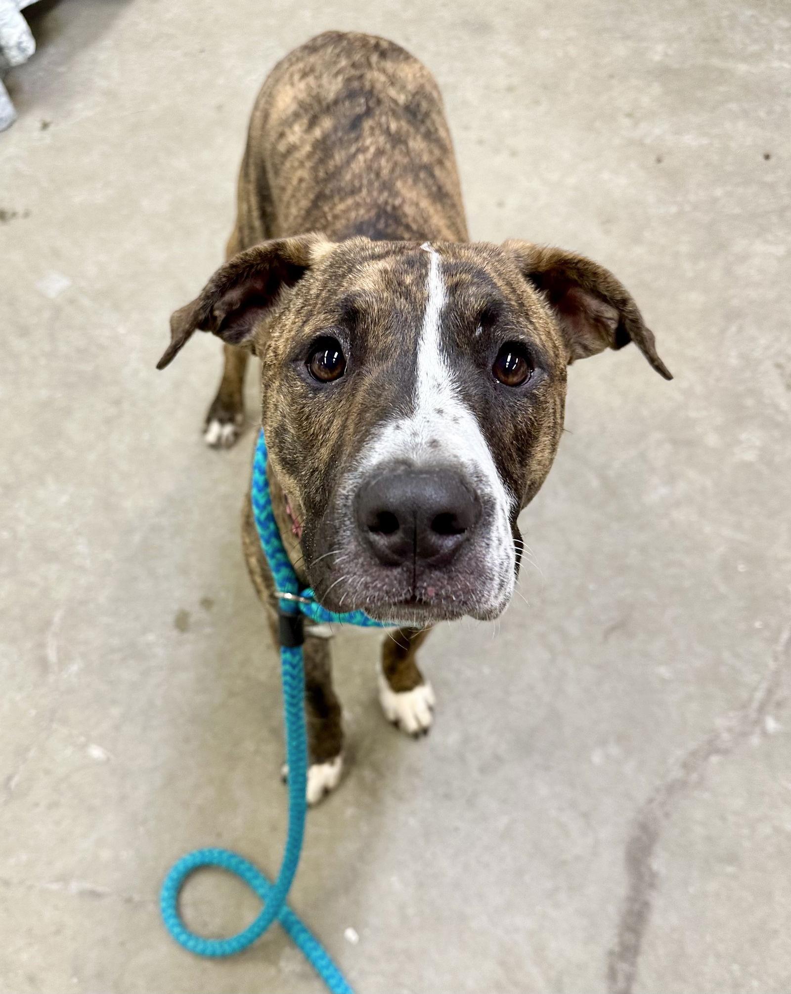 Fanta Dixon thumbnail 2