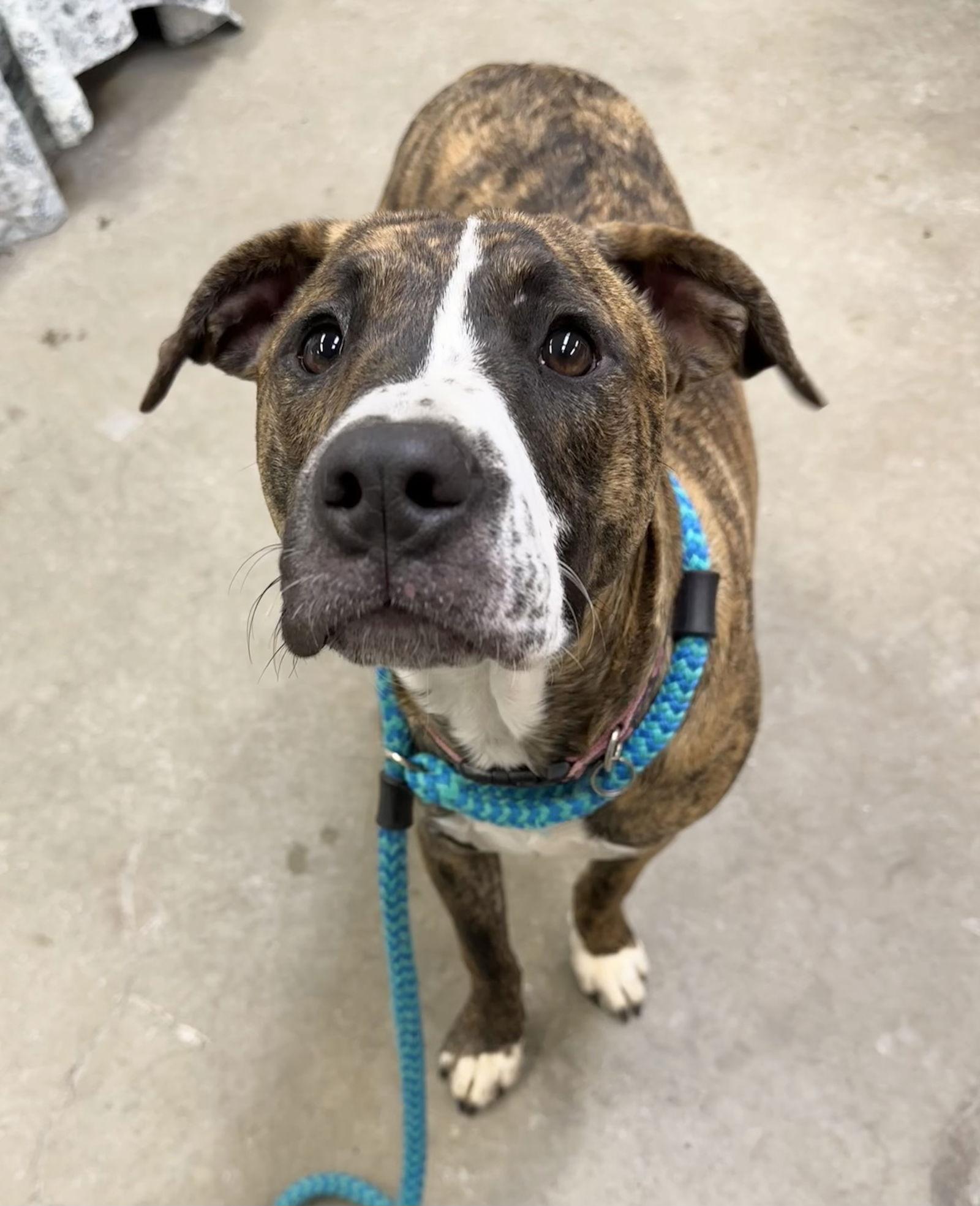 Fanta Dixon thumbnail 3