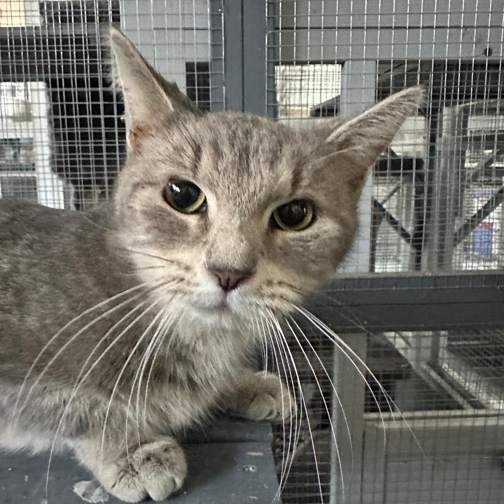 Cassie — thumbnail 2