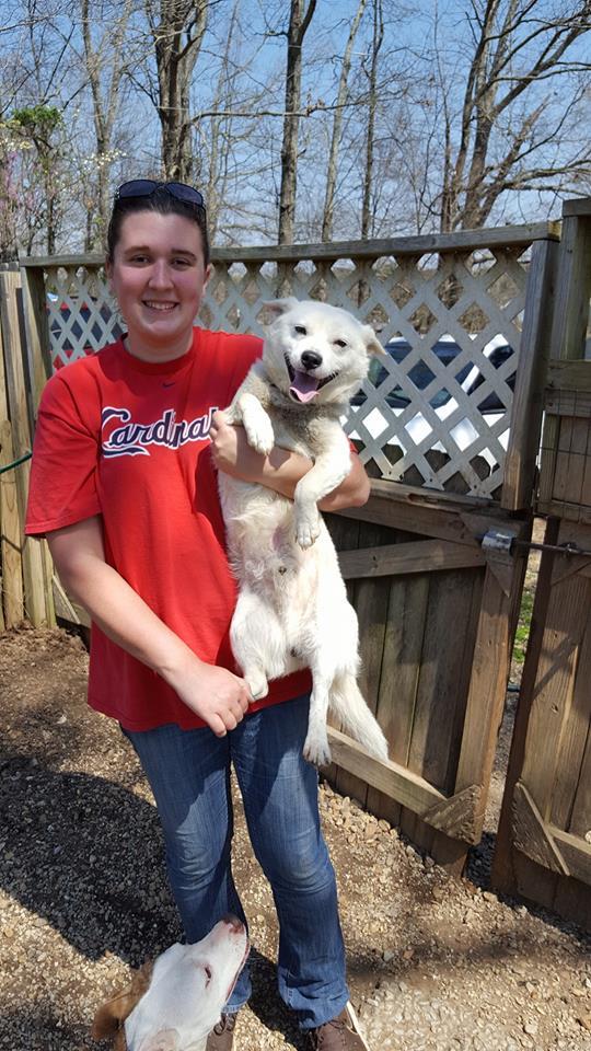 Enlarge Snowball, a Adoptable mixed breed in Bartlett, TN image 6/6