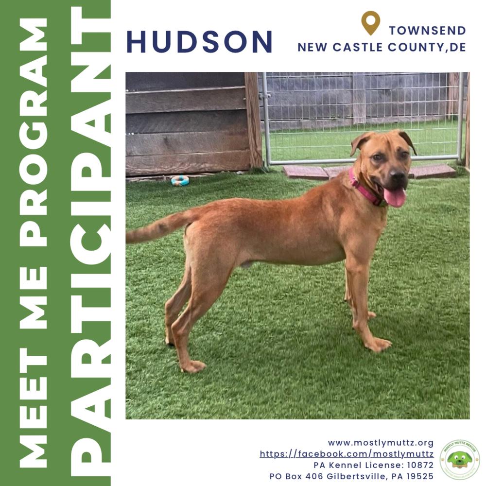 Hudson — thumbnail 4