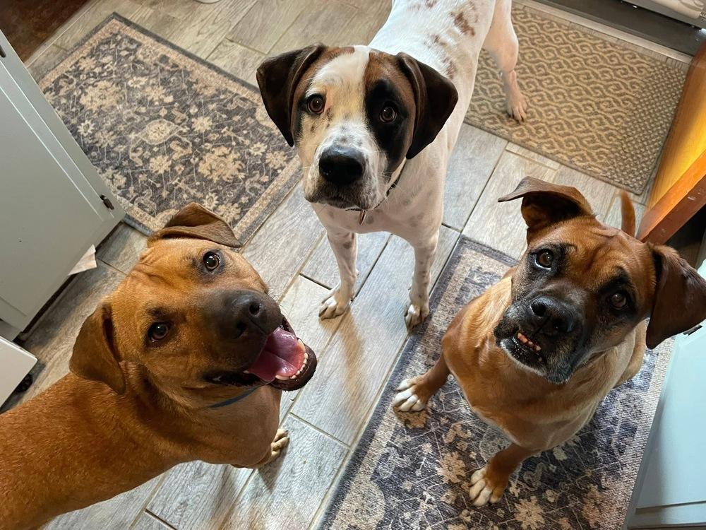 Hudson — thumbnail 5